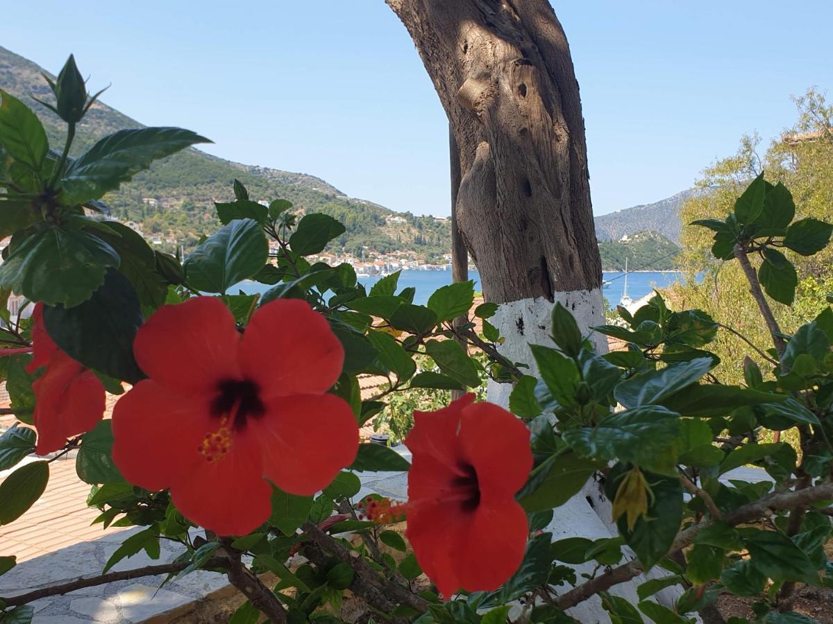 Villa Eleni Вати Экстерьер фото