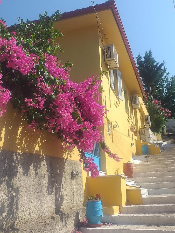 Villa Eleni Вати Экстерьер фото